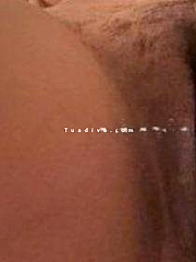 Dolce tentazione latina a Bologna: scopri il piacere senza confini