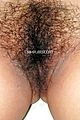 💋NOVITA!->DOTTORESSA TETTONA.. DEL SESSO!!POSSO CURATI..CON MANI..PIEDI..BOCCA..CORPO LATO B..IN MODO..SOFT HARD E HOT..FOTO REALE💋