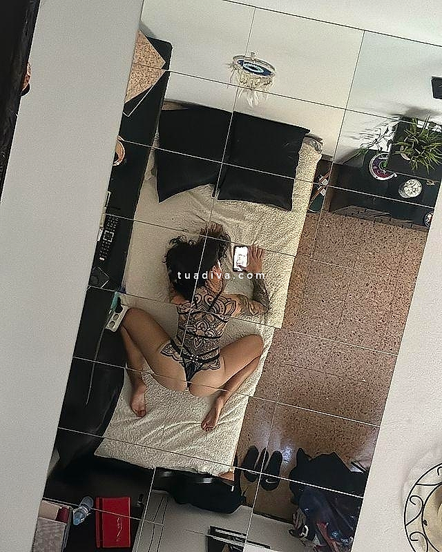 INCONTRI E VIDEOCHIAMATA CON LA STALLONA ITALIANA #5