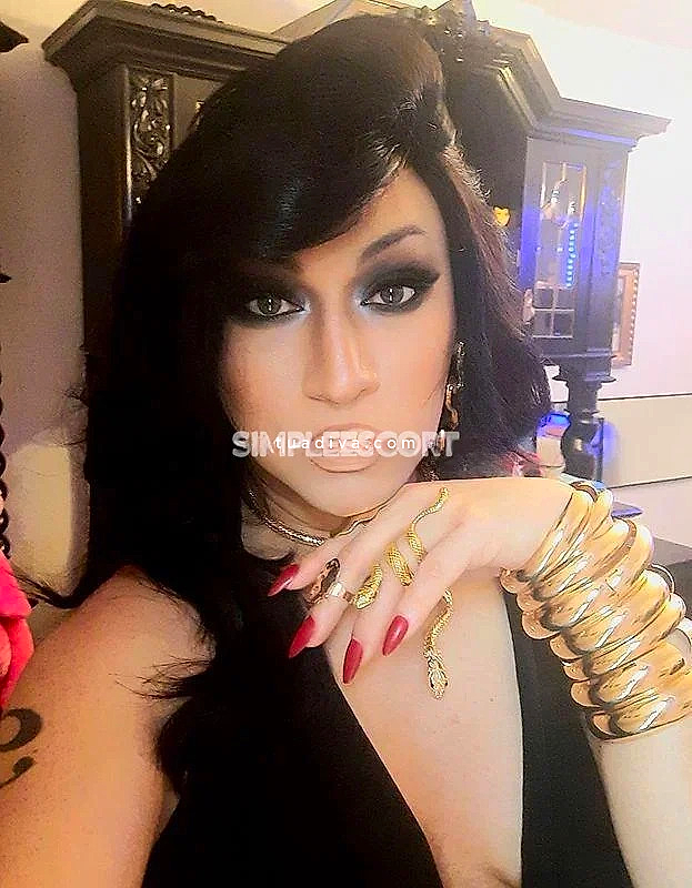 ⭐️⭐️⭐️⭐️⭐️  BRENDA VIPER TRANS ⭐️⭐️⭐️⭐️⭐️ #4